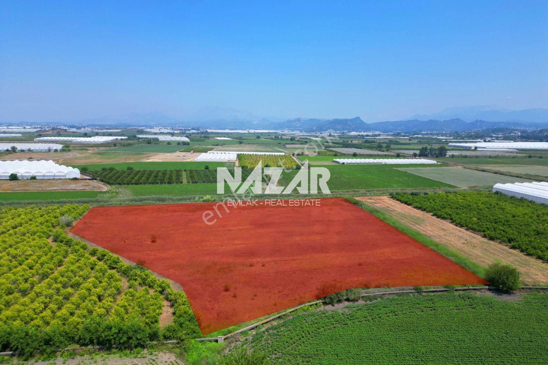 Manavgat Bereket'te 16.804 M² Satılık Tarla - Görsel 4