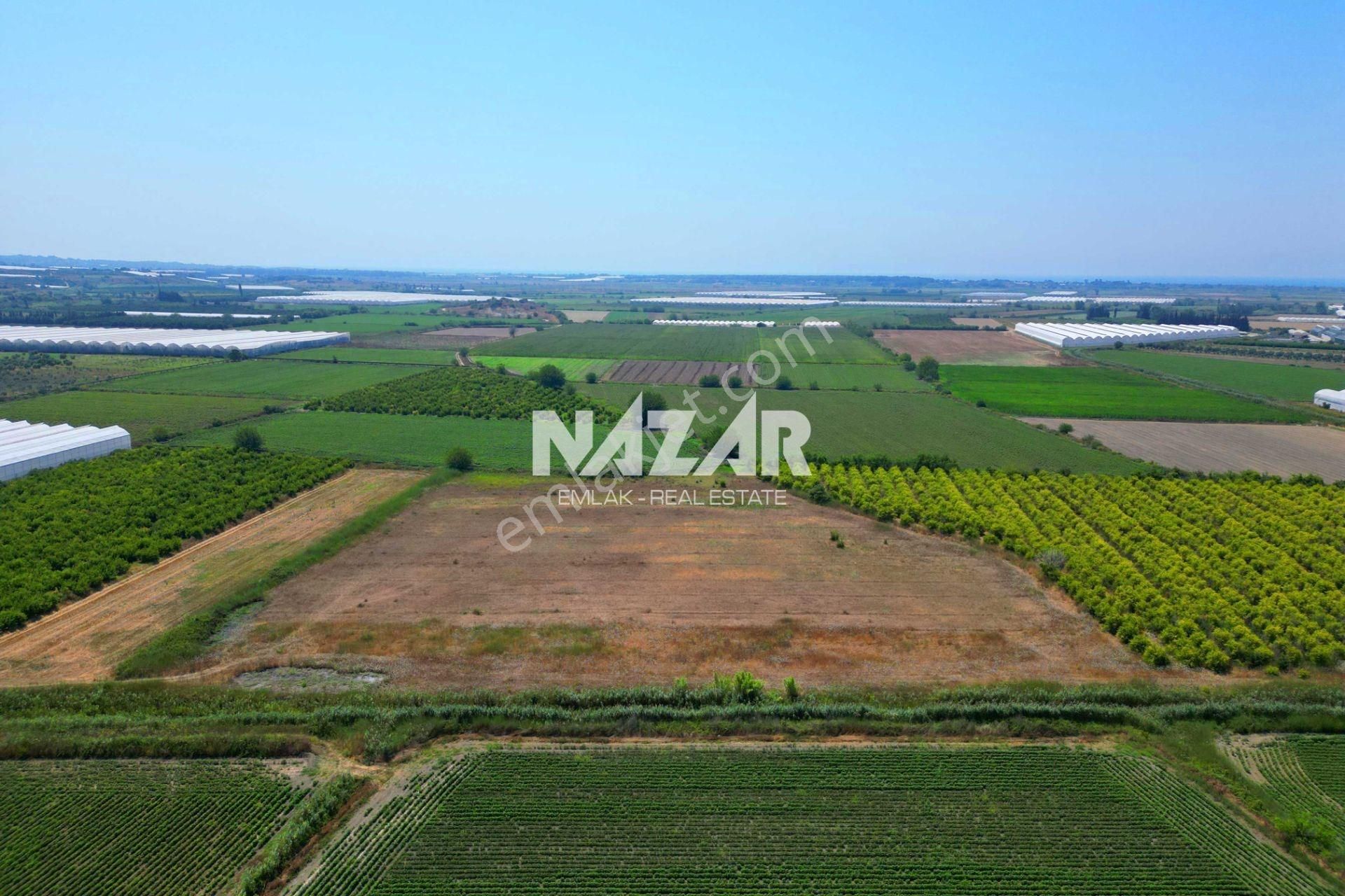 Manavgat Bereket'te 16.804 M² Satılık Tarla - Görsel 13