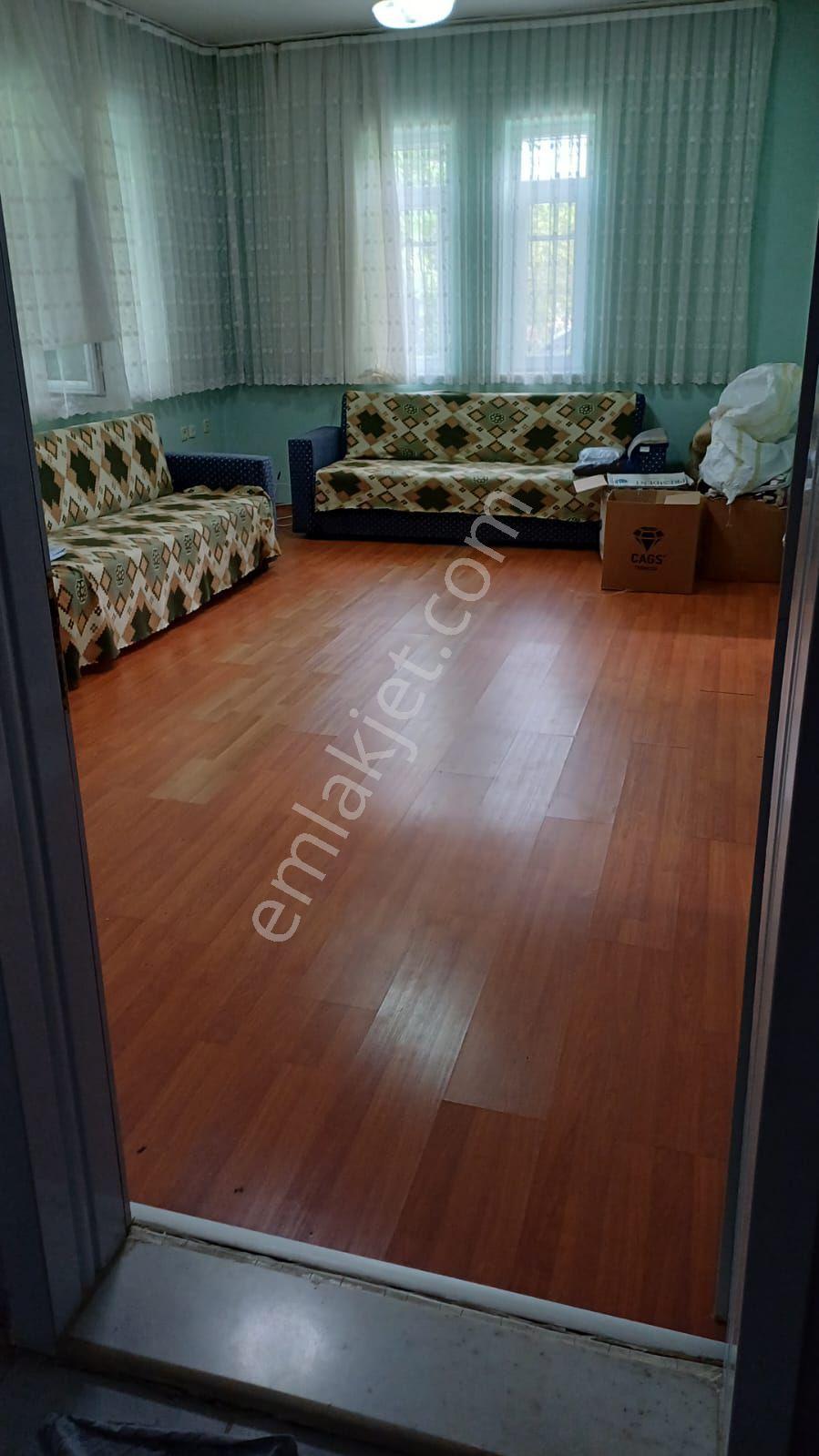 Malatya Dilek Aydoğanda Kayısı Bahçesi - Görsel 8