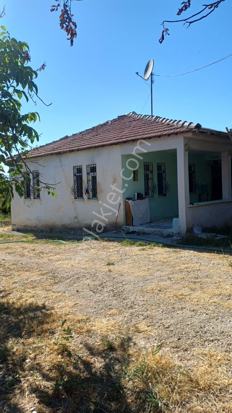 Malatya Dilek Aydoğanda Kayısı Bahçesi - Görsel 3