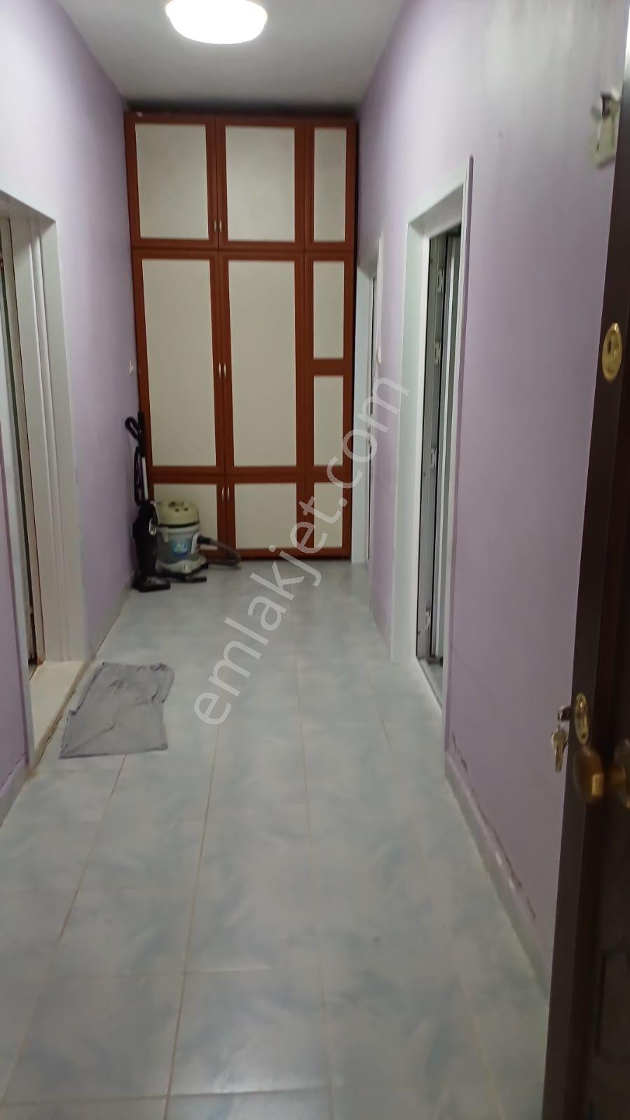 Malatya Dilek Aydoğanda Kayısı Bahçesi - Görsel 10
