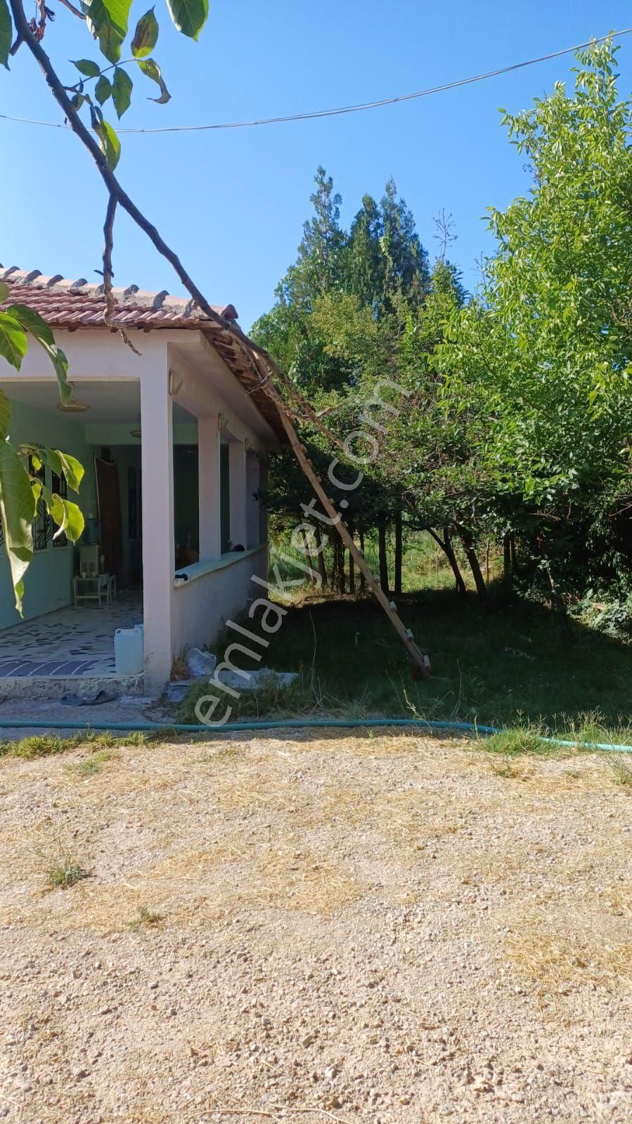 Malatya Dilek Aydoğanda Kayısı Bahçesi