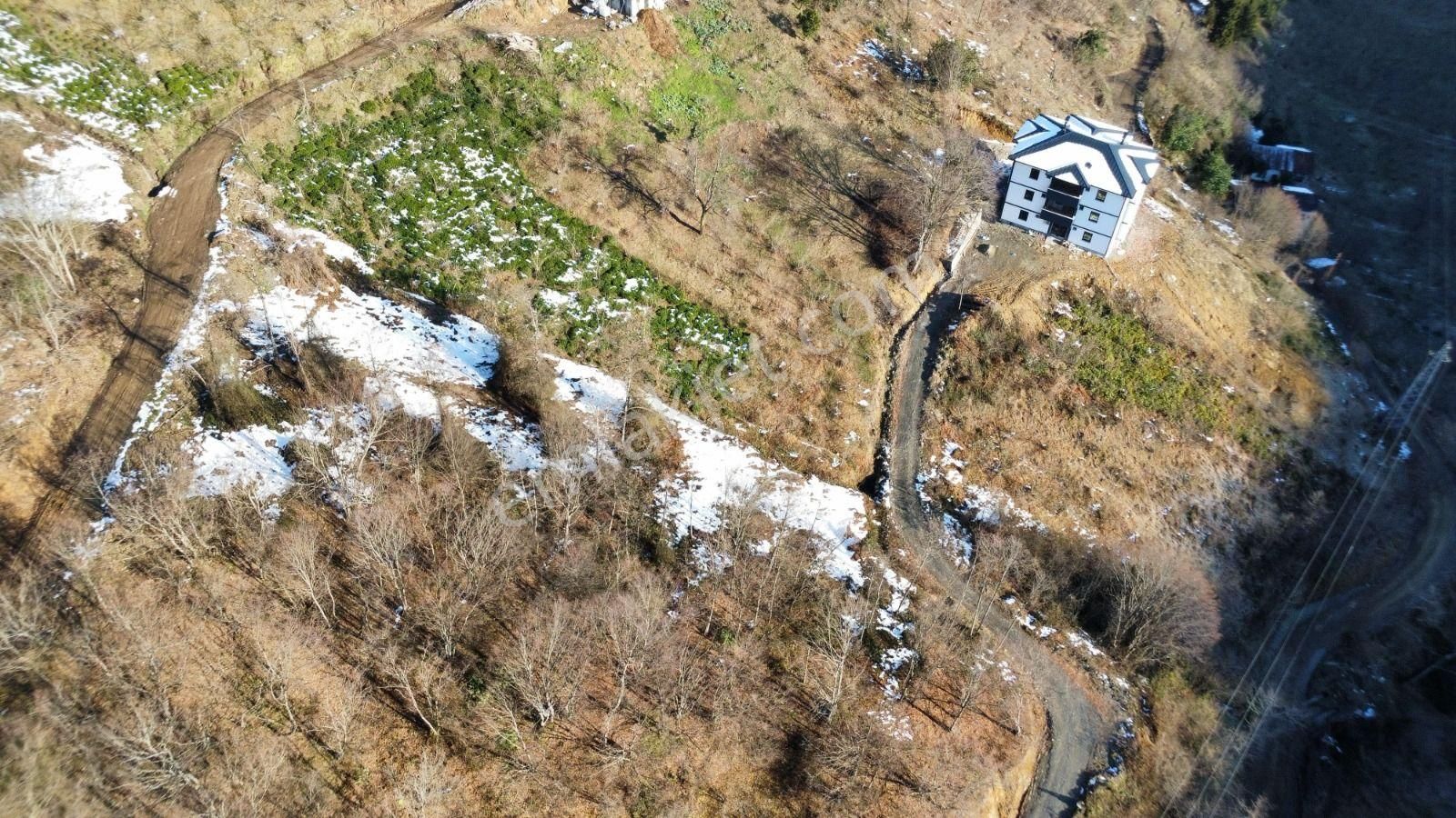 Trabzon Araklı'da Satılık Arazi