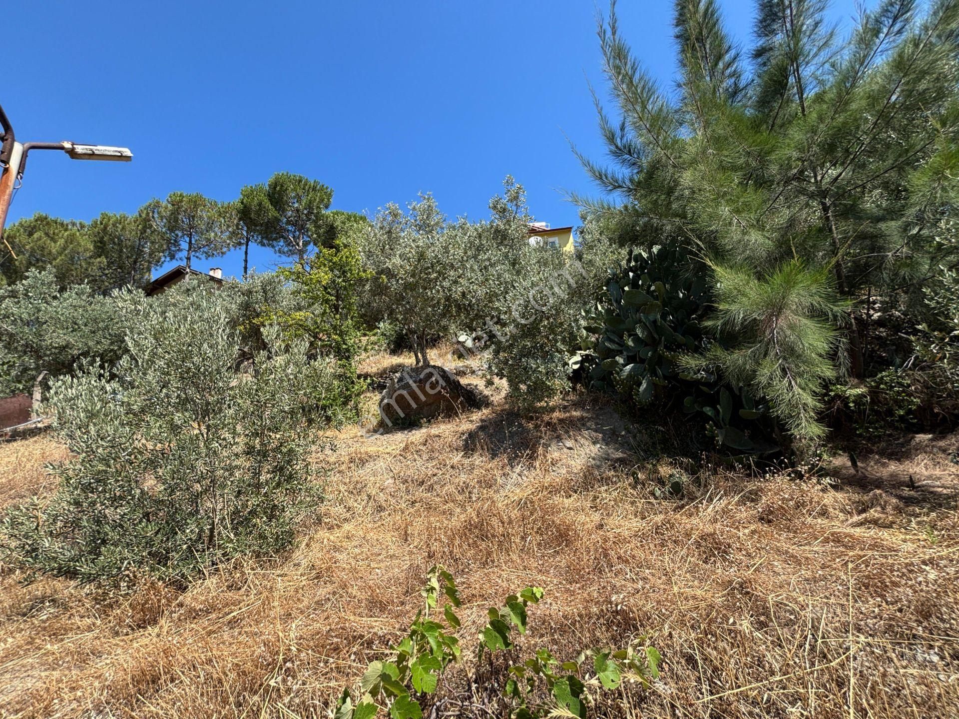 Seferihisar Bahçeköy Bölgesinde Yatırımlık Villa İmarlı Arsa! - Görsel 14