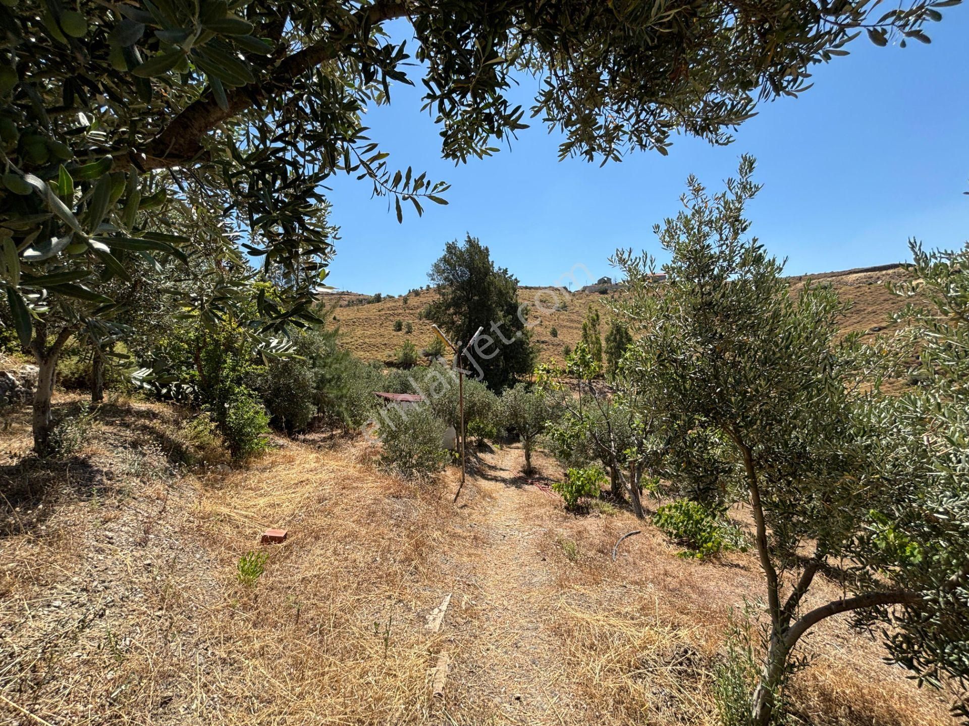 Seferihisar Bahçeköy Bölgesinde Yatırımlık Villa İmarlı Arsa! - Görsel 10