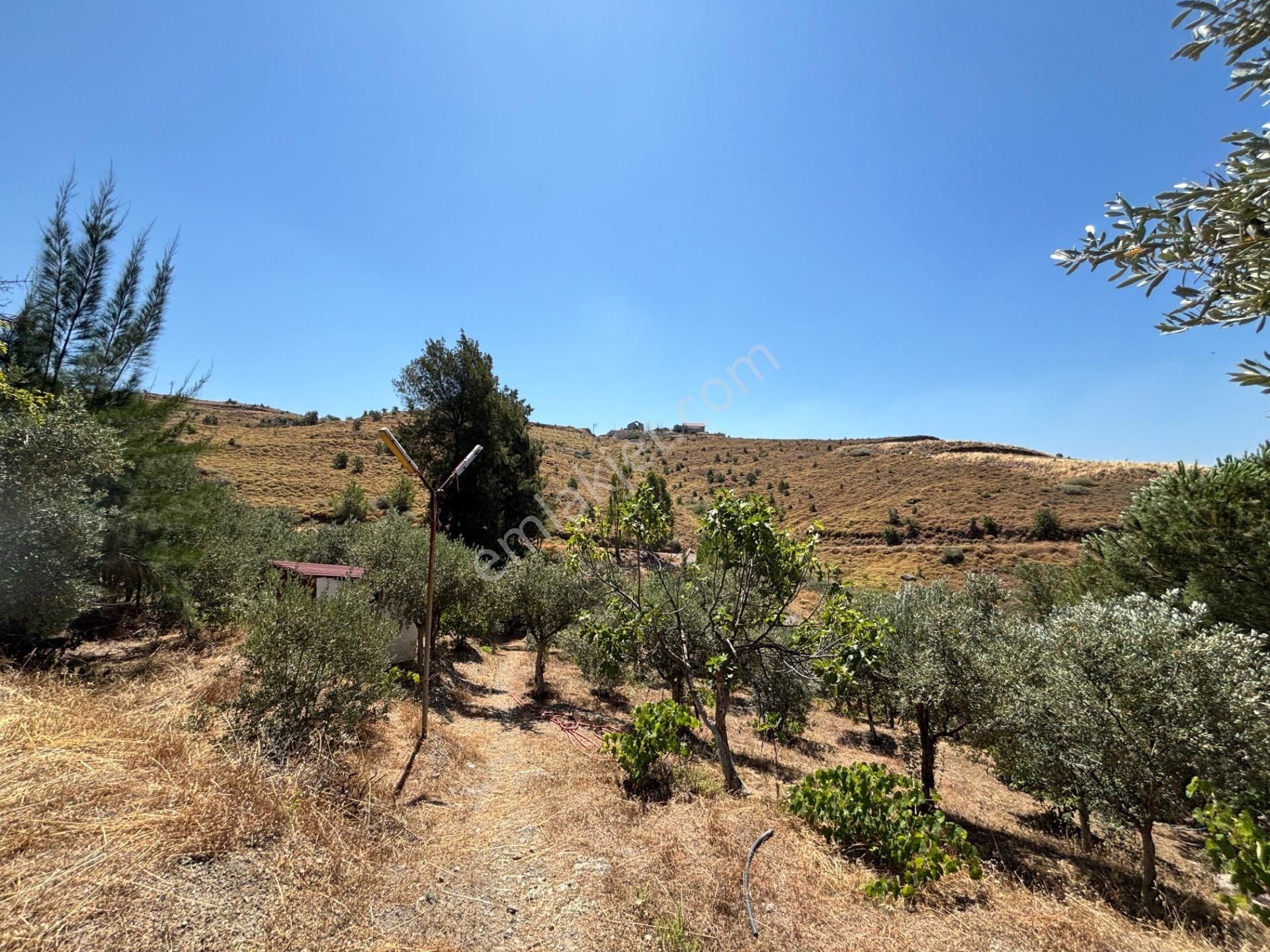 Seferihisar Bahçeköy Bölgesinde Yatırımlık Villa İmarlı Arsa!