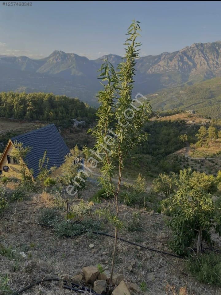 Alanya Fakırcalı Da İçinde Bungalov Evi İle Satılık
