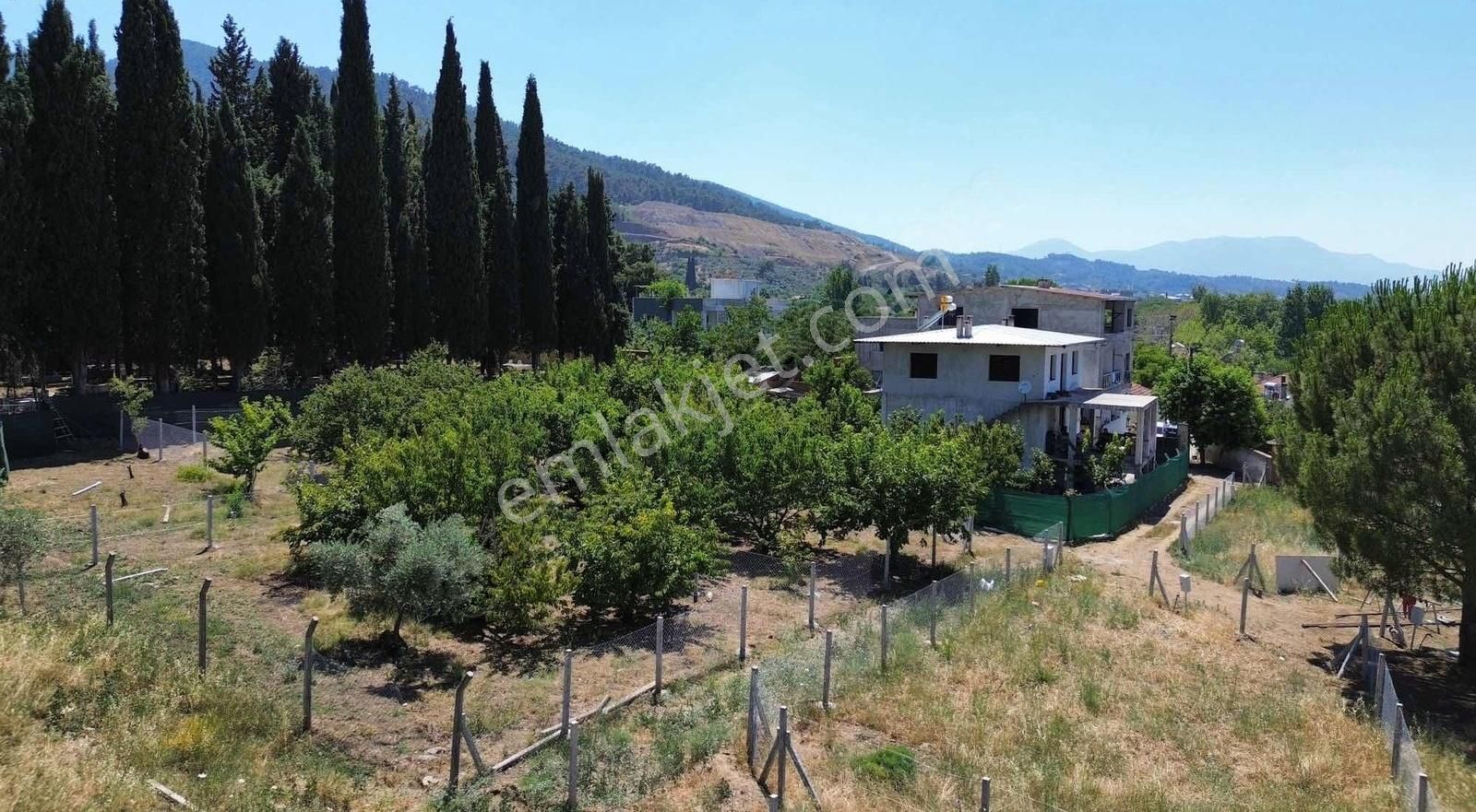 Kemalpaşa Yiğitlerde 247.27m2 İçinde Kiraz Ağaçları - Görsel 2