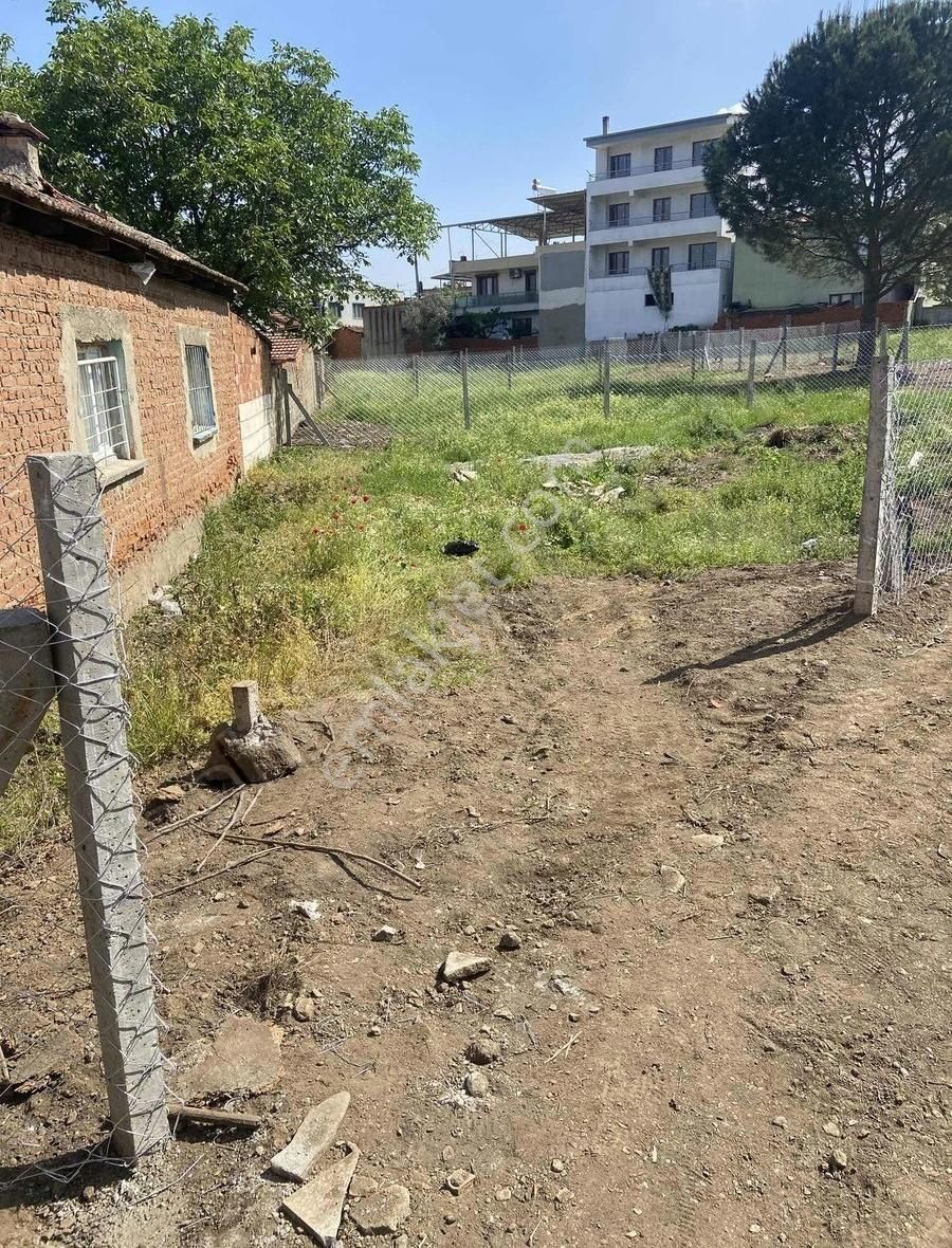 Kemalpaşa Yiğitlerde 247.27m2 İçinde Kiraz Ağaçları - Görsel 5