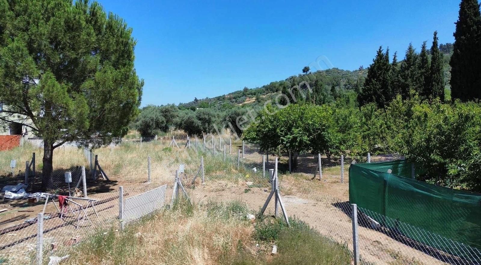 Kemalpaşa Yiğitlerde 247.27m2 İçinde Kiraz Ağaçları - Görsel 6