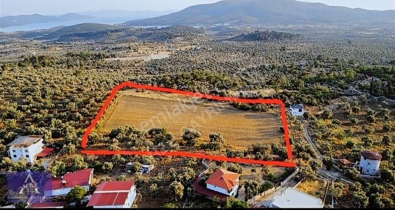 Muğla Milas Kazıklı Köyünde Satılık Arazi - Görsel 3