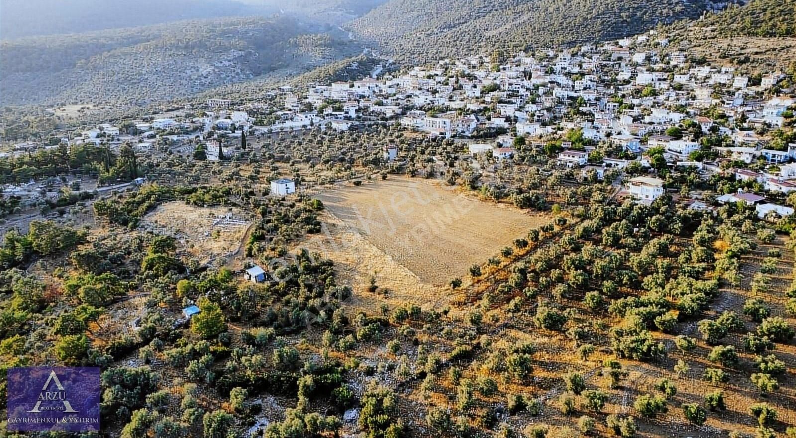 Muğla Milas Kazıklı Köyünde Satılık Arazi - Görsel 2