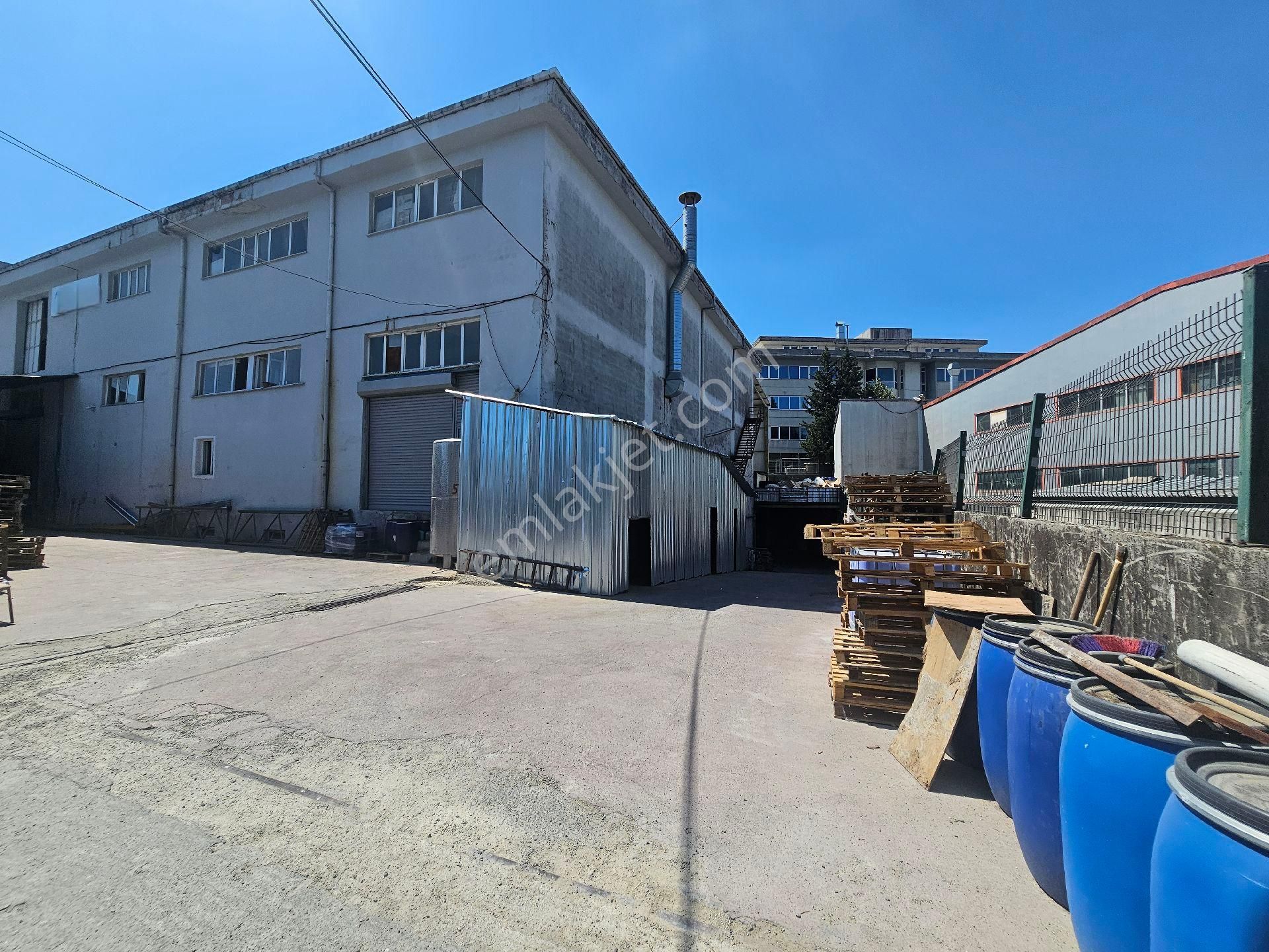 Kiralık 2.000 Metrekare Kapalı Alan - Görsel 13