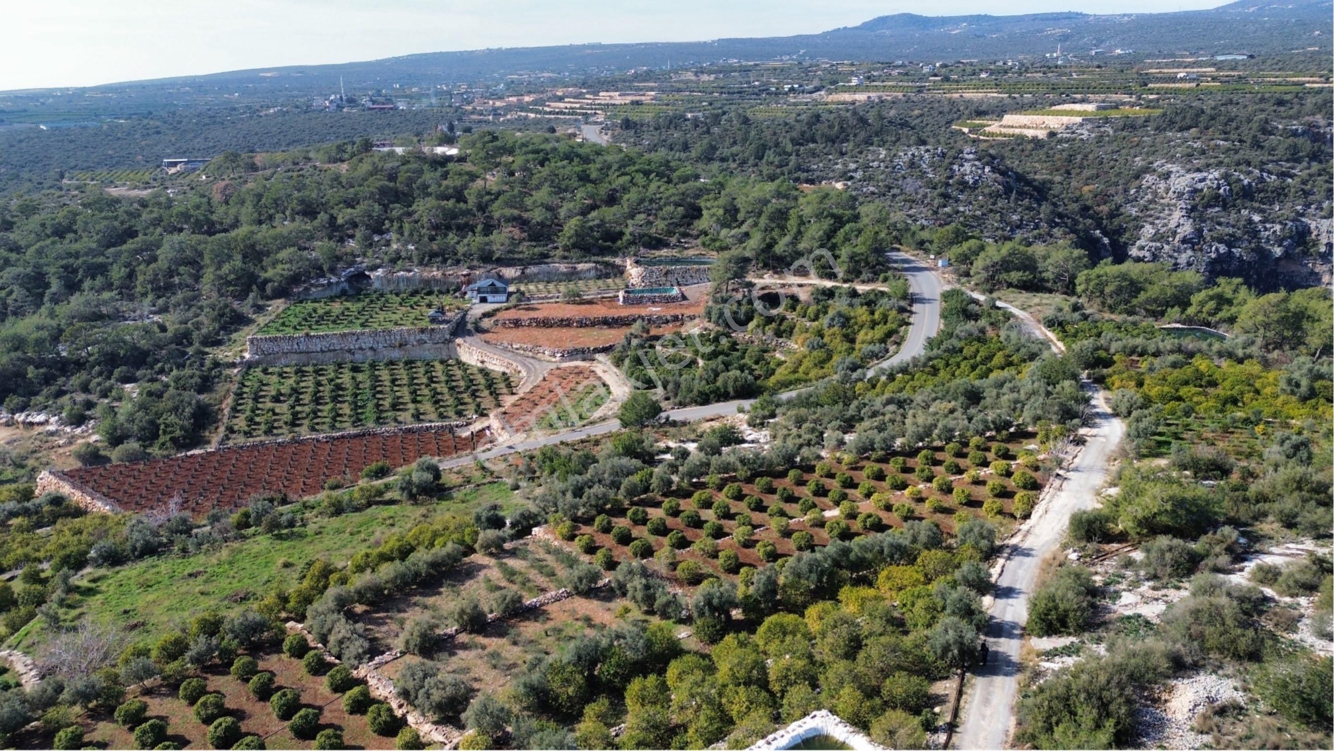 Tam Zirvede Mükemmel Deniz Manzaralı - Görsel 18
