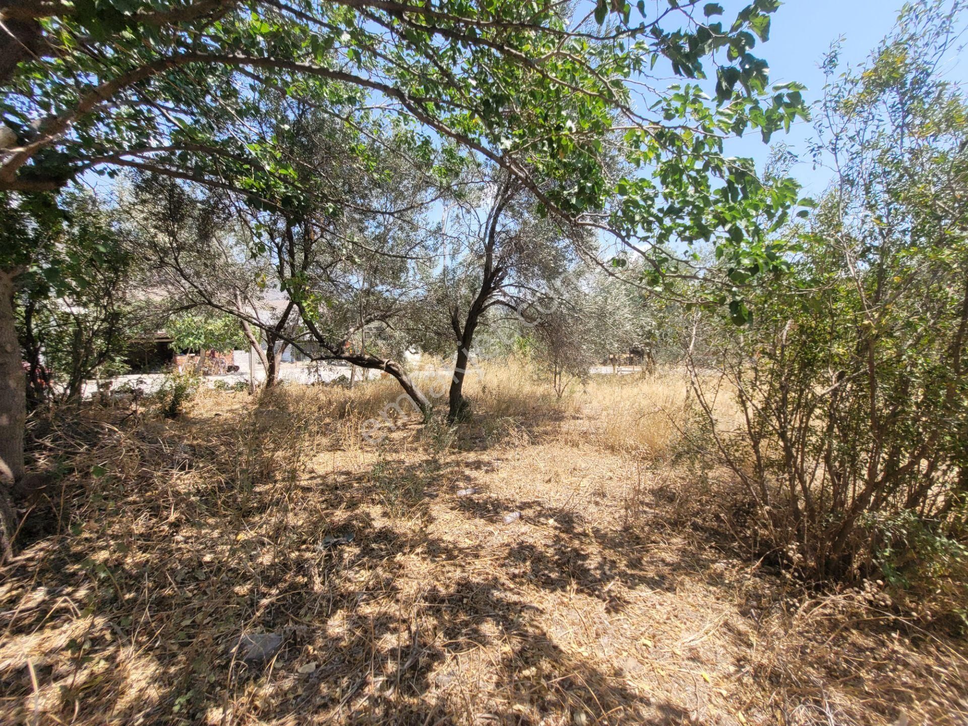 Menemen Haykıran Köyünde 810 M² Arsalı, Satılık Müstakil Ev. - Görsel 20