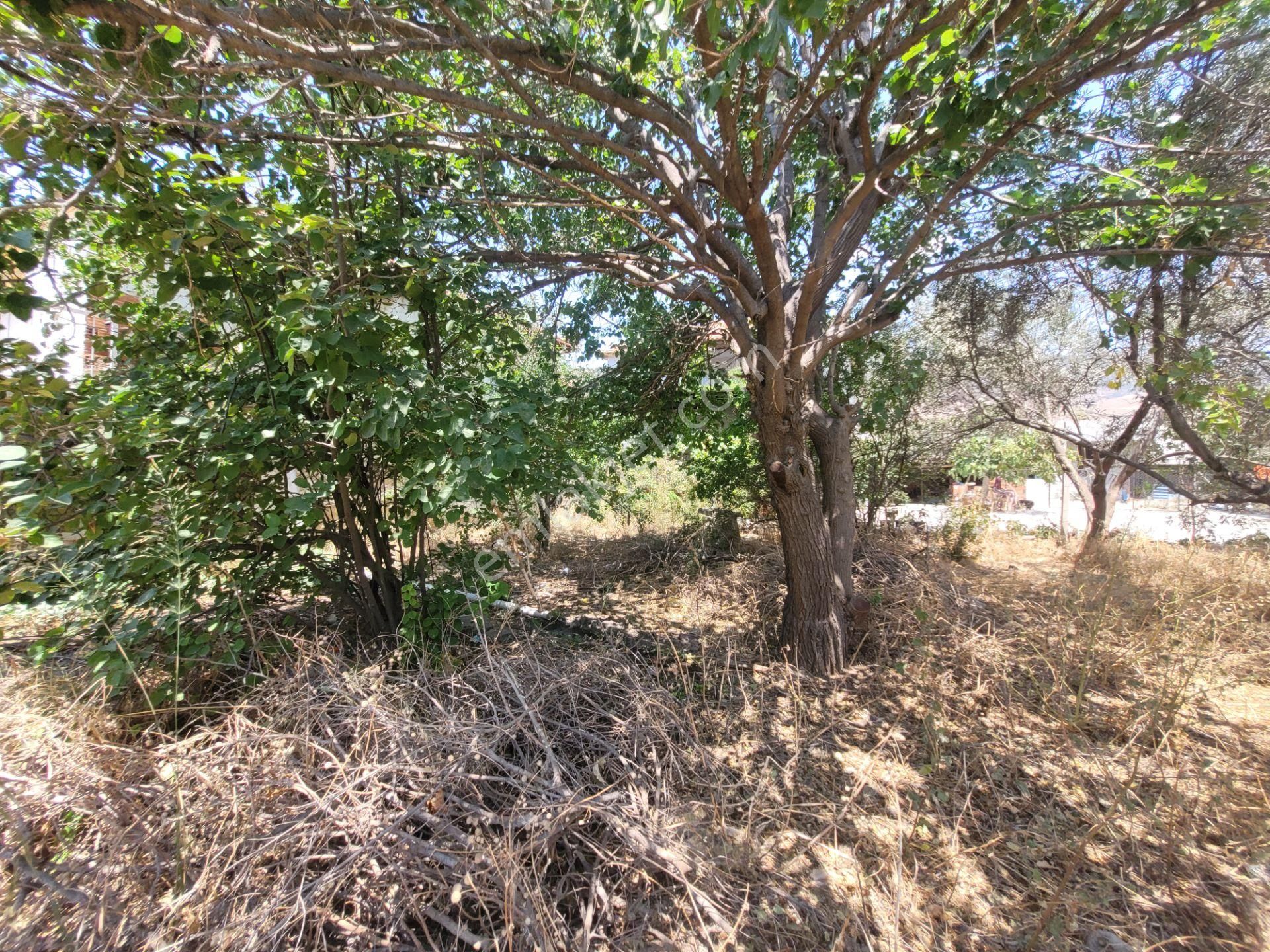 Menemen Haykıran Köyünde 810 M² Arsalı, Satılık Müstakil Ev. - Görsel 24