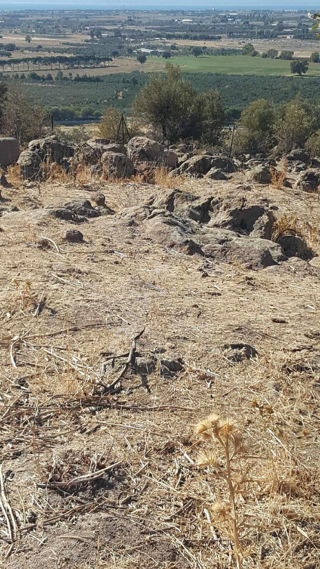 Ays Den Bahçelide Satılık Tarla - Görsel 3