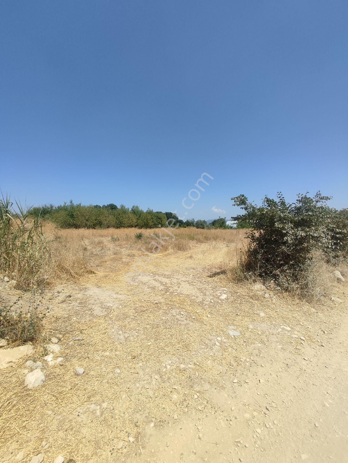 Yelten Bahce - Görsel 4