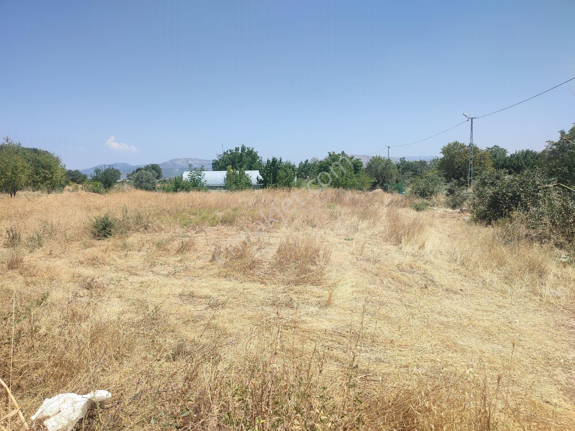 Yelten Bahce - Görsel 6