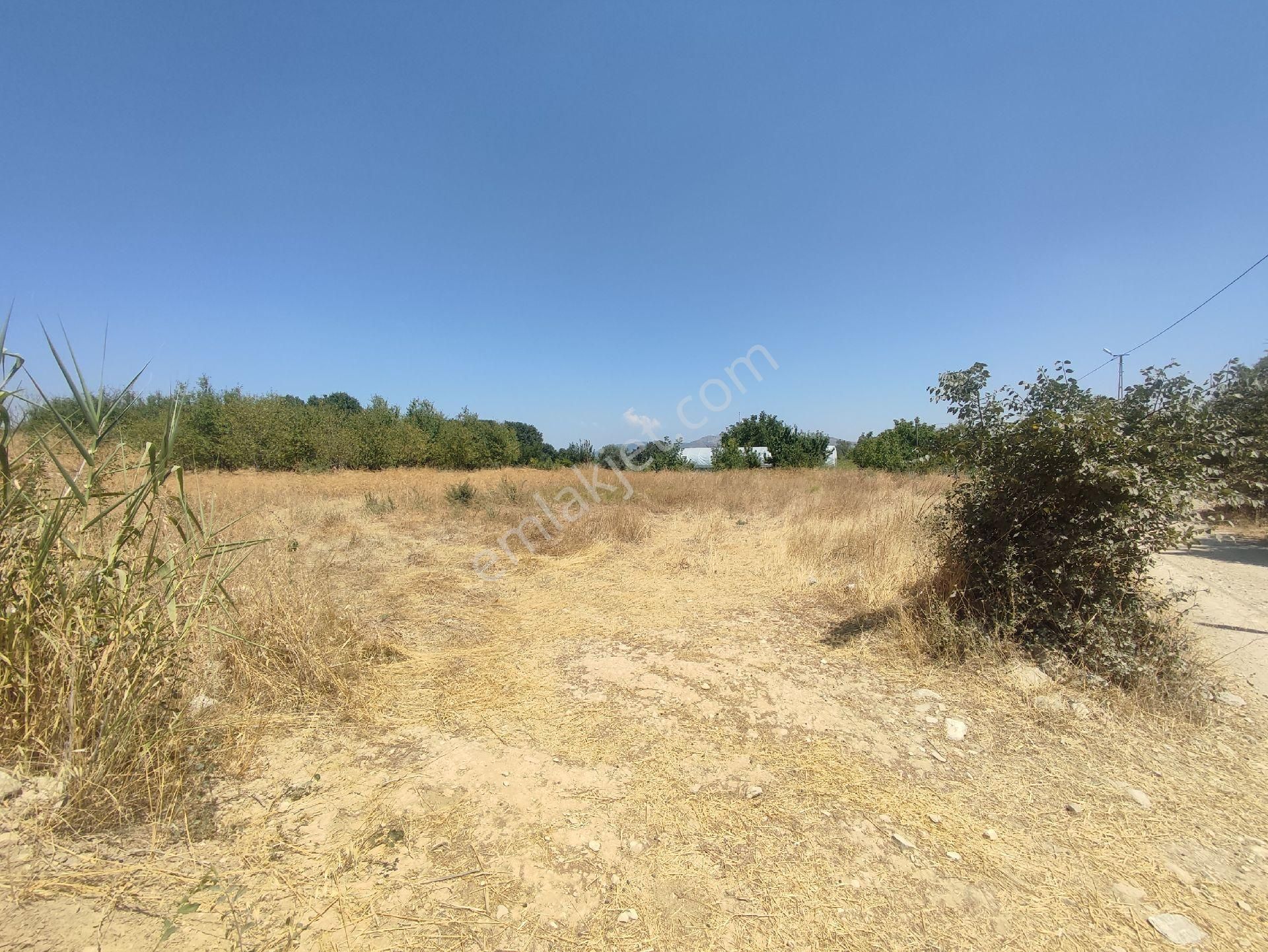 Yelten Bahce - Görsel 9