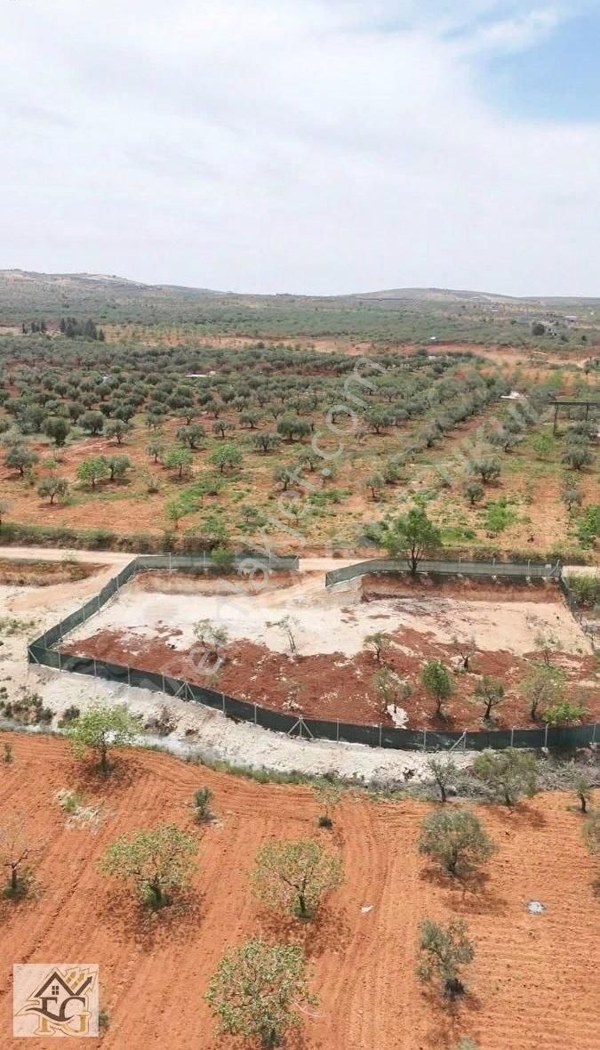 Oğuzeli 1 Dönüm Yol Üzeri Bağevlik Arazi