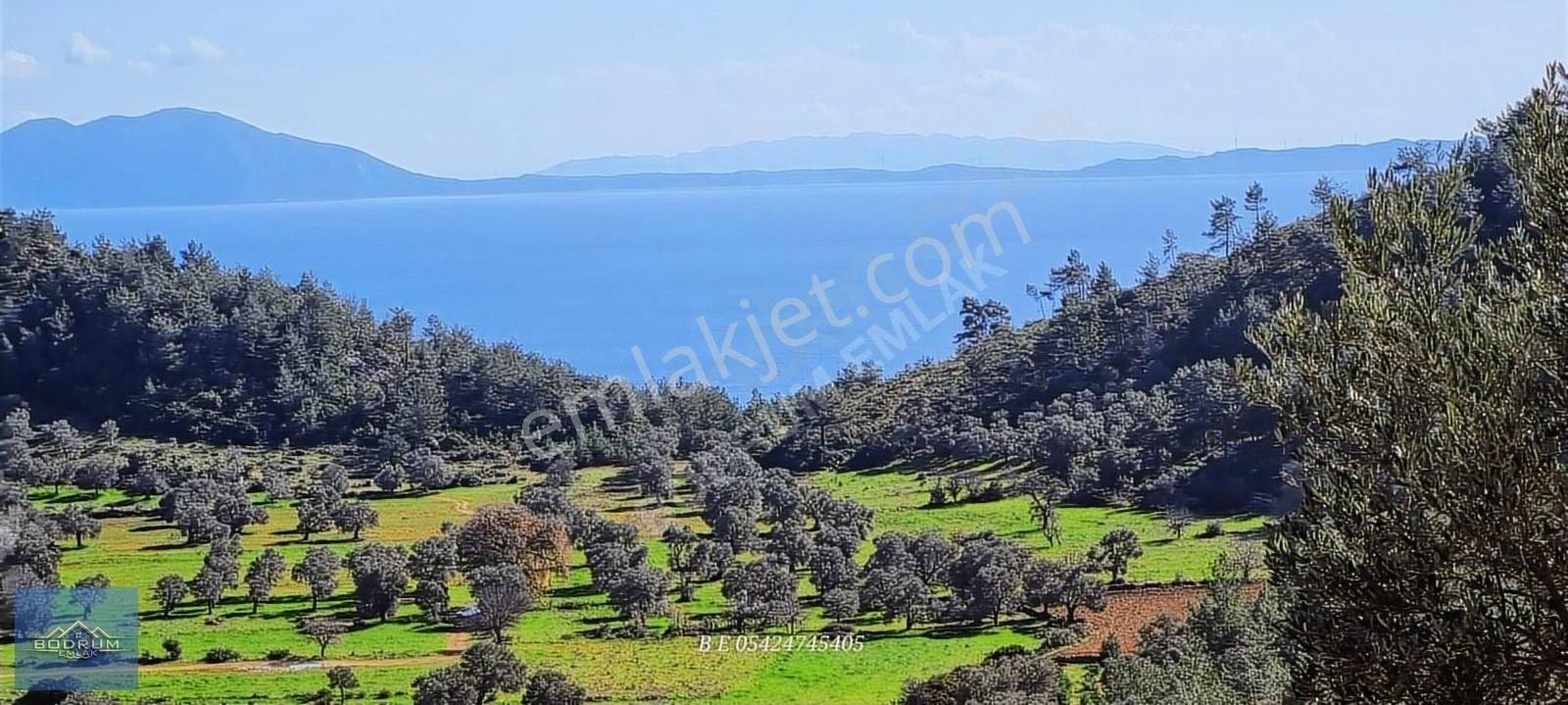 Bodrum Yalıçiftlik 2.400m2 Hisse Tapusu