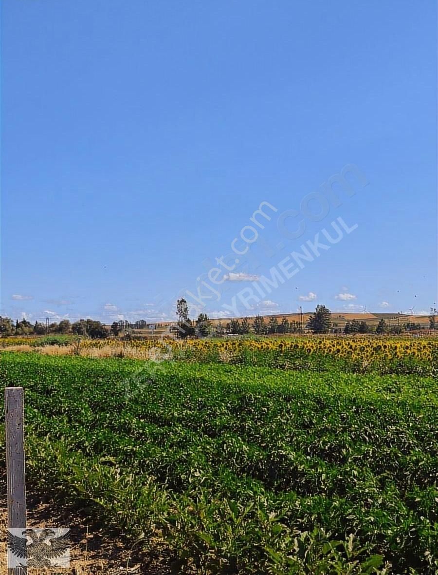 Silivri Değirmenköy De 280 M2 4 Adet Yerimiz Topluda Satılabilir - Görsel 15