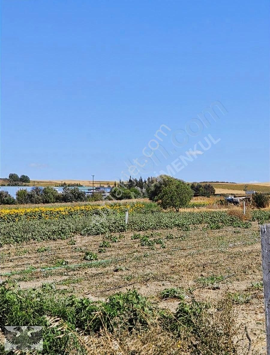 Silivri Değirmenköy De 280 M2 4 Adet Yerimiz Topluda Satılabilir - Görsel 3