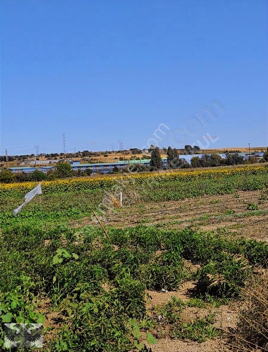 Silivri Değirmenköy De 280 M2 4 Adet Yerimiz Topluda Satılabilir - Görsel 11