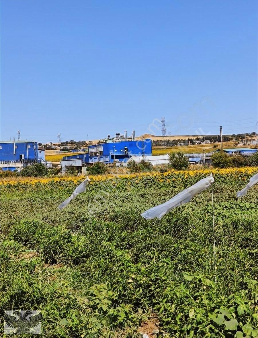 Silivri Değirmenköy De 280 M2 4 Adet Yerimiz Topluda Satılabilir - Görsel 16