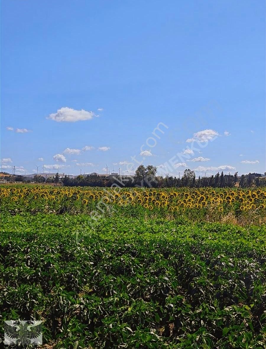 Silivri Değirmenköy De 280 M2 4 Adet Yerimiz Topluda Satılabilir - Görsel 12