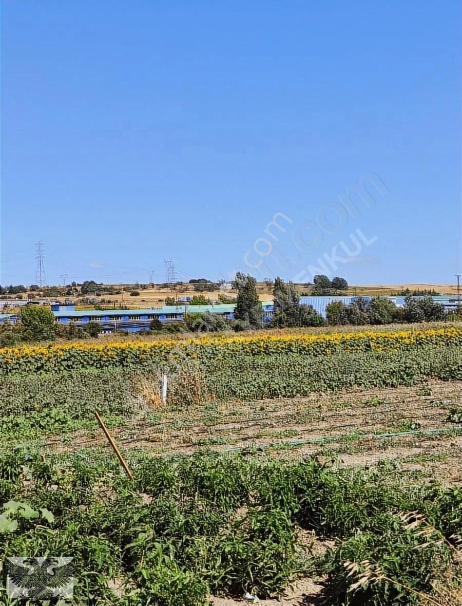 Silivri Değirmenköy De 280 M2 4 Adet Yerimiz Topluda Satılabilir - Görsel 10