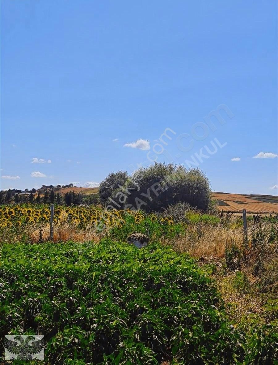 Silivri Değirmenköy De 280 M2 4 Adet Yerimiz Topluda Satılabilir - Görsel 2