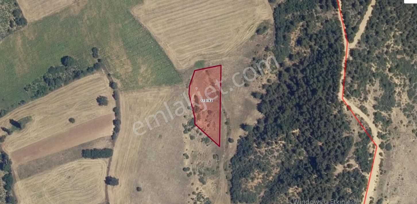 Roma' Dan Alaylı' Da Satılık Tarla - Görsel 2