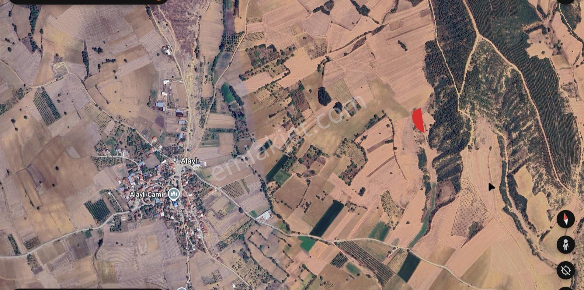 Roma' Dan Alaylı' Da Satılık Tarla - Görsel 5