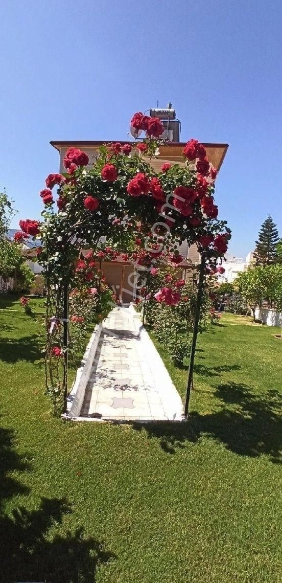 Denıze Yürüme Mesafesinde Mustakil Villa - Görsel 7