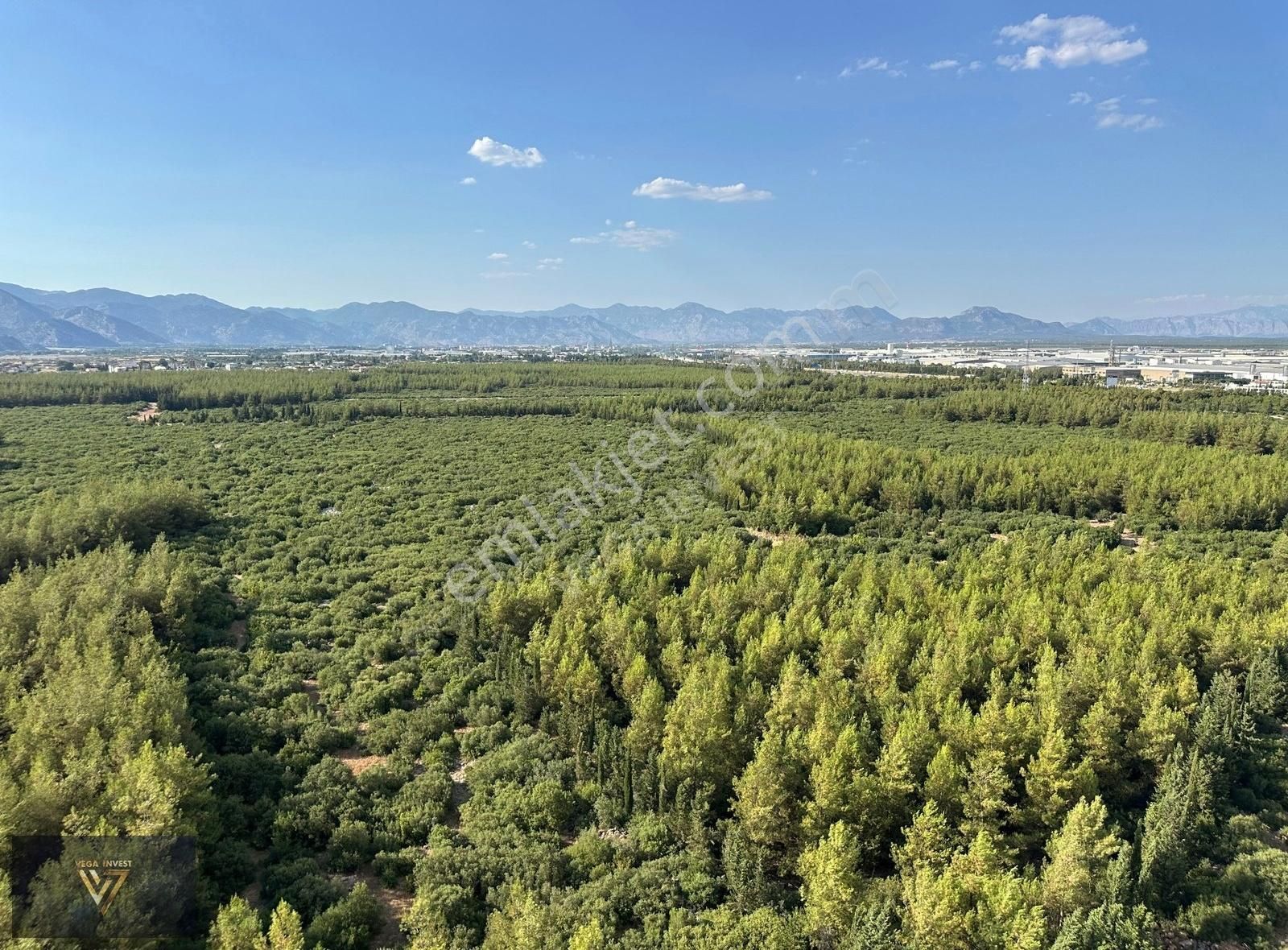 Rengi Antalya'da Orman Manzaralı Daire | Vega Invest |