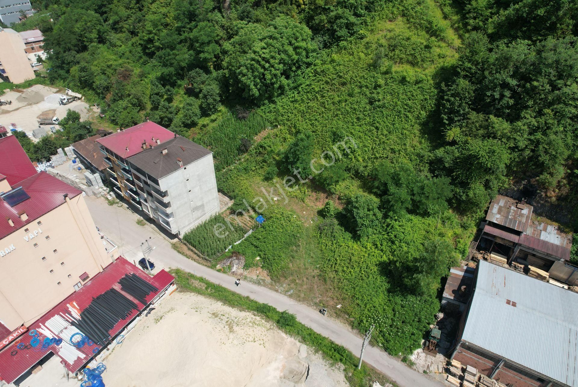 Trabzon Maçka Esiroğlu'nda 1650 M² Satılık Arsa - Görsel 4