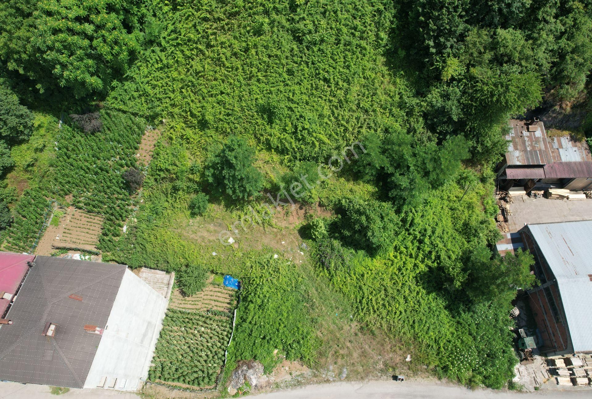 Trabzon Maçka Esiroğlu'nda 1650 M² Satılık Arsa - Görsel 3