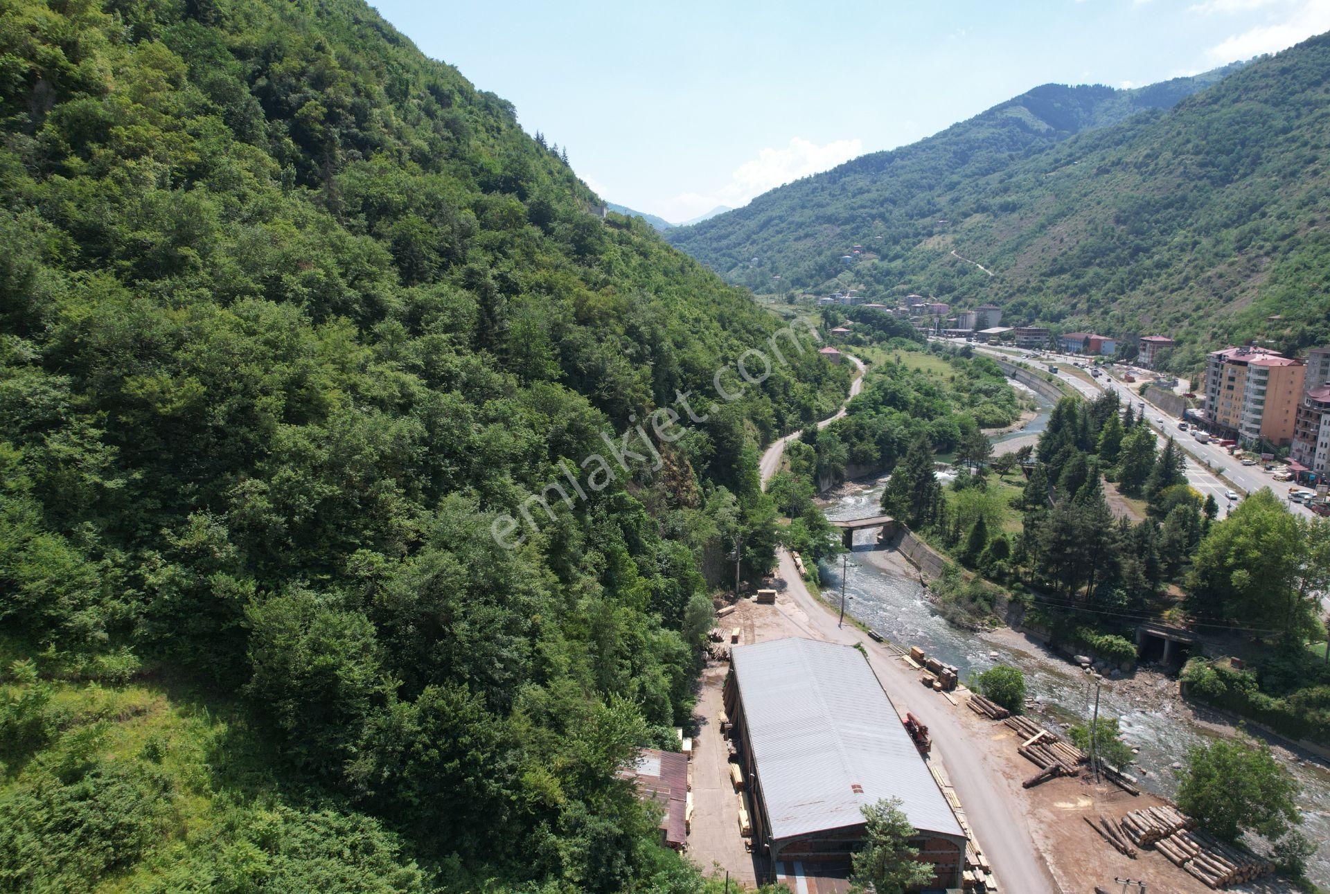 Trabzon Maçka Esiroğlu'nda 1650 M² Satılık Arsa - Görsel 7