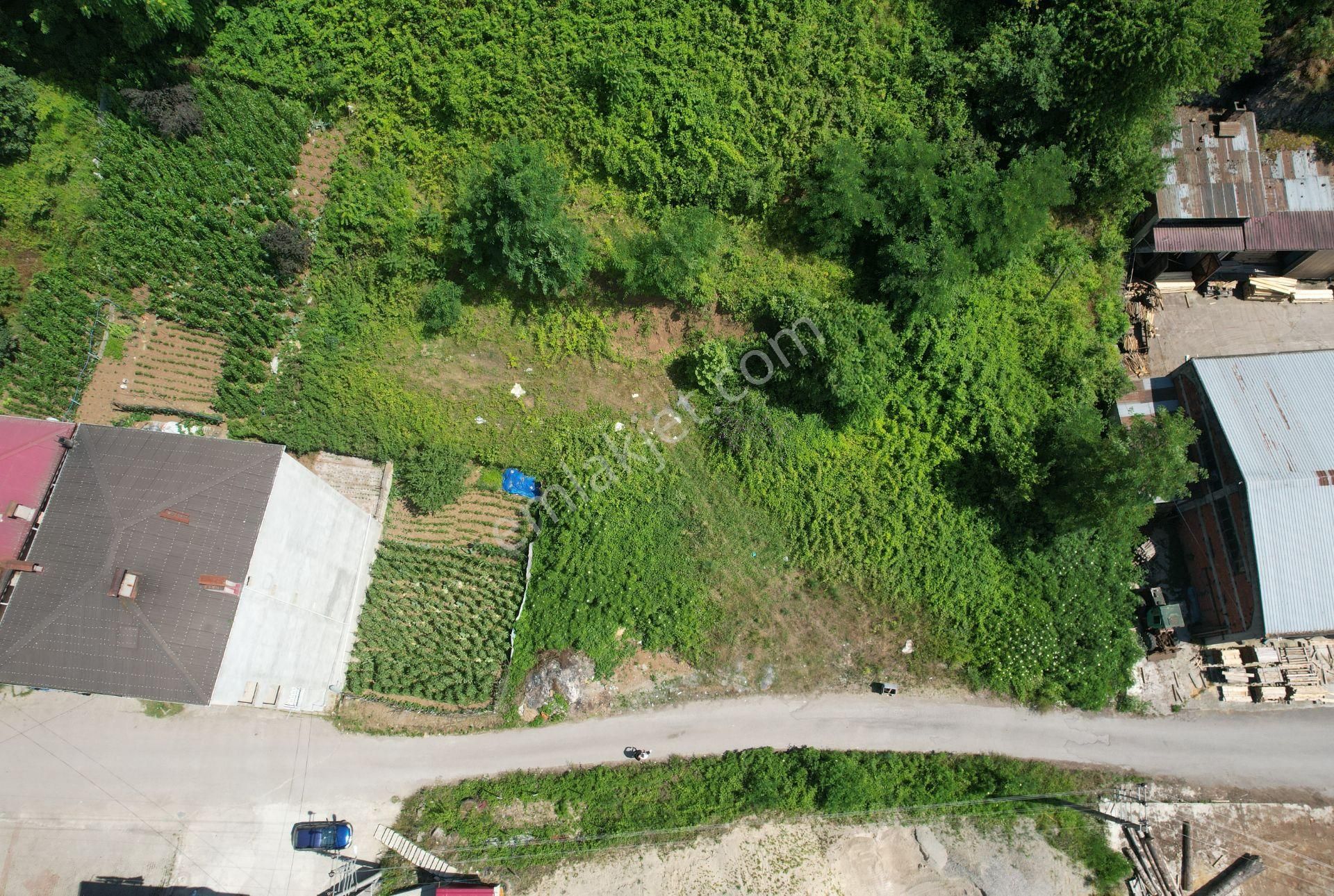 Trabzon Maçka Esiroğlu'nda 1650 M² Satılık Arsa - Görsel 5