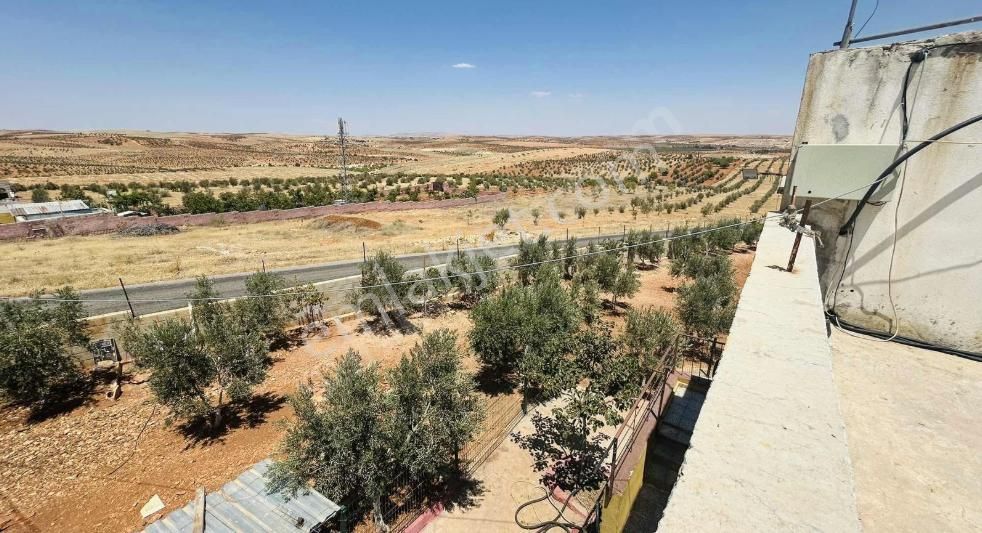 Oğuzeli - Yeniköy'de Asfalta Sıfır Her Türlü Altyapısı Olan Bağ Evi Ve Bahçesi Satılık