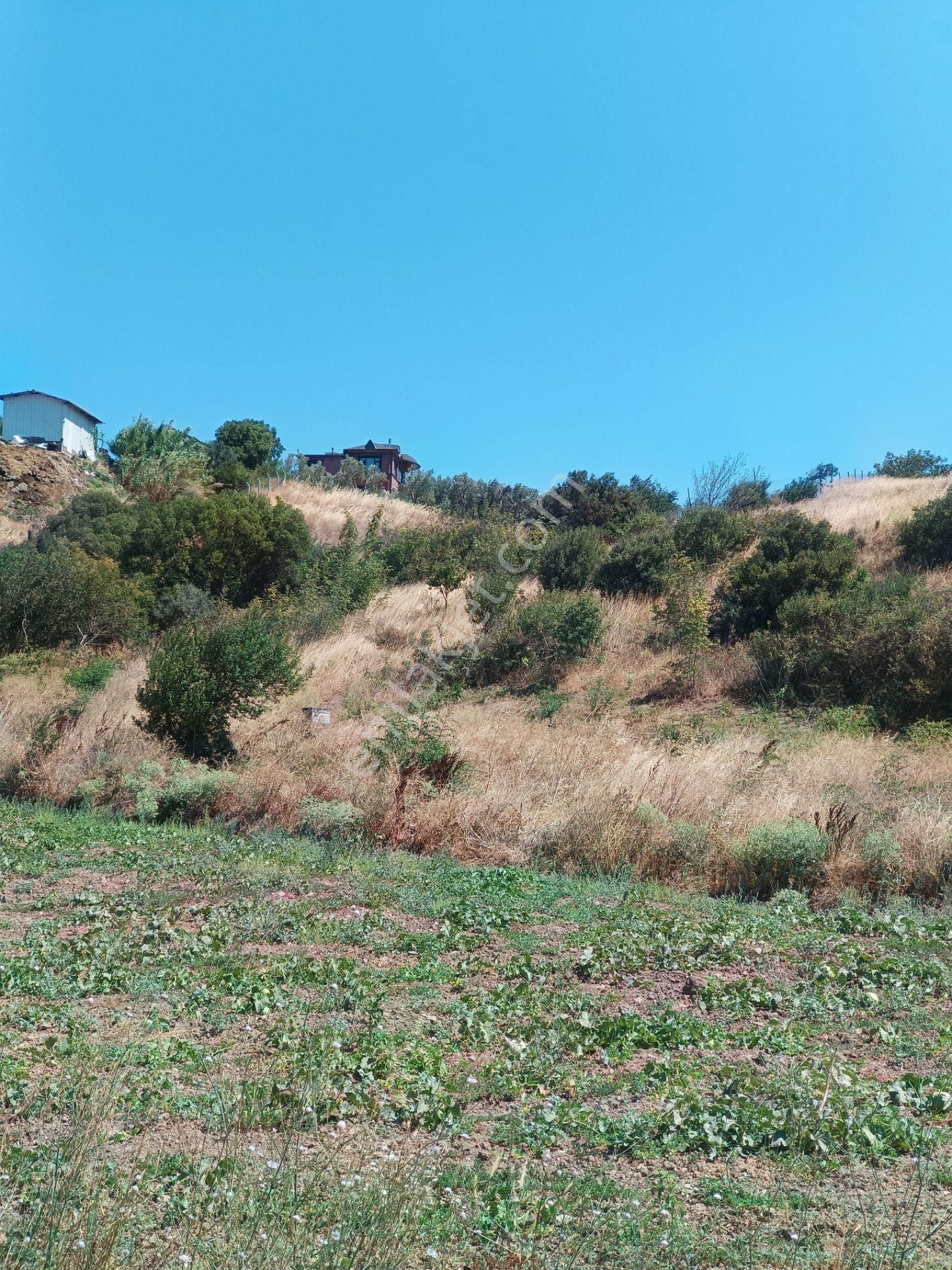 Bursa Karacabey Hayırlar Mhde Villalık Satılık Arsa - Görsel 5