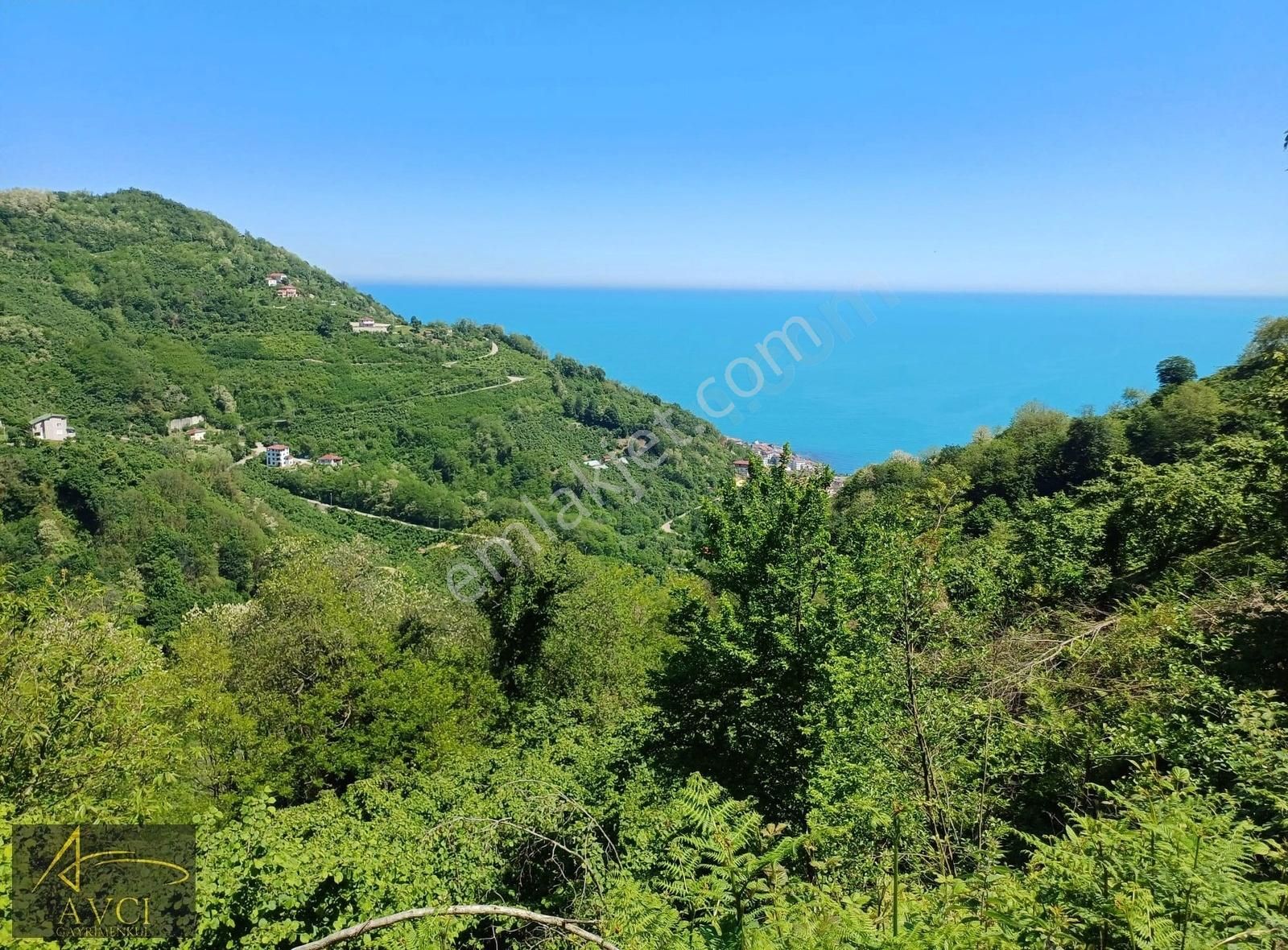 Avcı'dan Kiraz Limanında Deniz Manzaralı 5394 M2 Fındık Bahçesi
