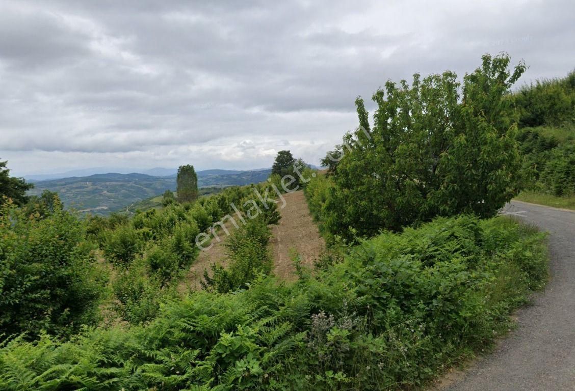 Bursa-iznik Tacir De Göl Ve Vadi Manzaralı Yatırımlık Arazi - Görsel 3