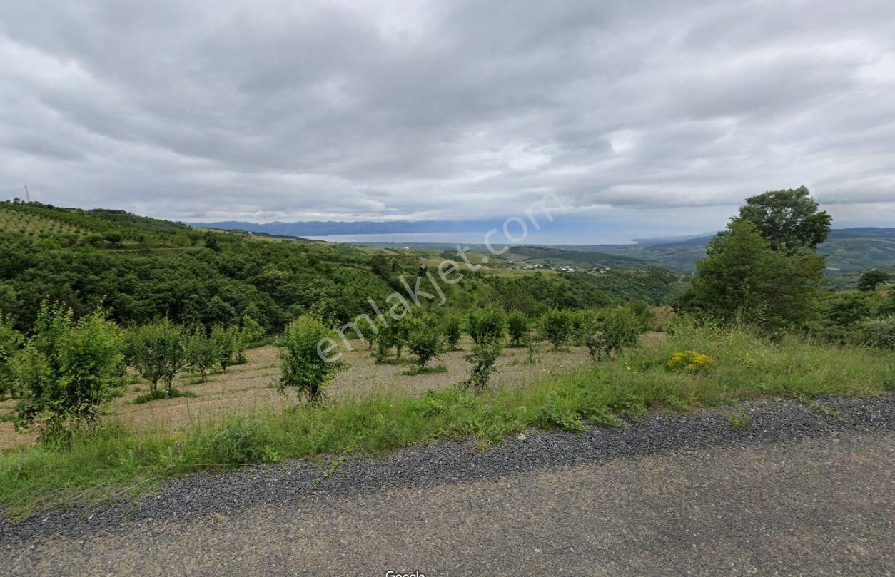 Bursa-iznik Tacir De Göl Ve Vadi Manzaralı Yatırımlık Arazi