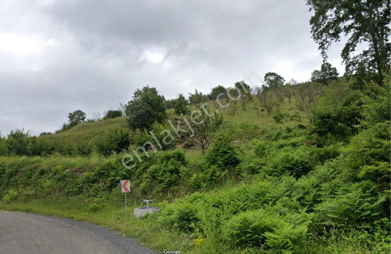 Bursa-iznik Tacir De Göl Ve Vadi Manzaralı Yatırımlık Arazi - Görsel 4