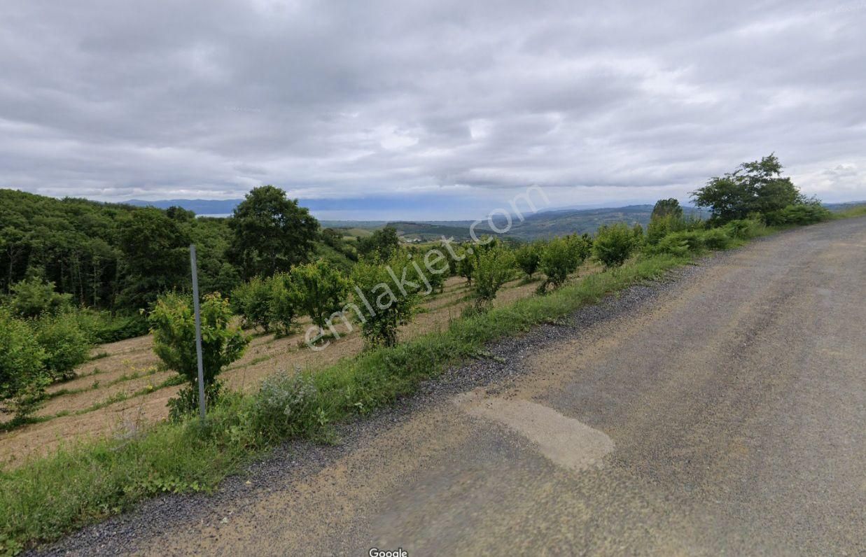 Bursa-iznik Tacir De Göl Ve Vadi Manzaralı Yatırımlık Arazi - Görsel 2