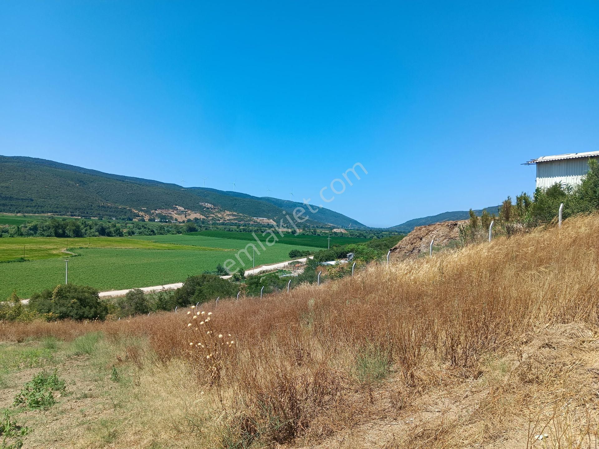 Bursa Karacabey Hayırlar Mhde Villalık Satılık Arsa