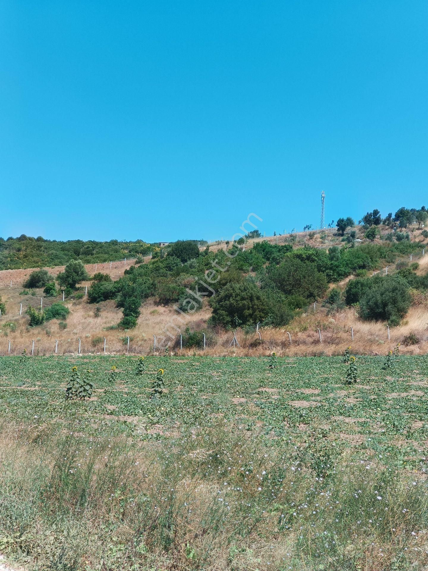 Bursa Karacabey Hayırlar Mhde Villalık Satılık Arsa - Görsel 12